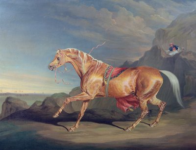 Mr. Alfred Bonars Araber, Dare Devil von James Ward